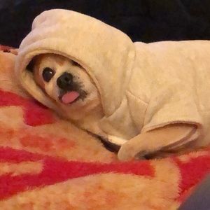 Meet your Posher, Naomi